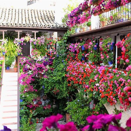 Puerta A La Mezquita Apartment Kordoba Bagian luar foto