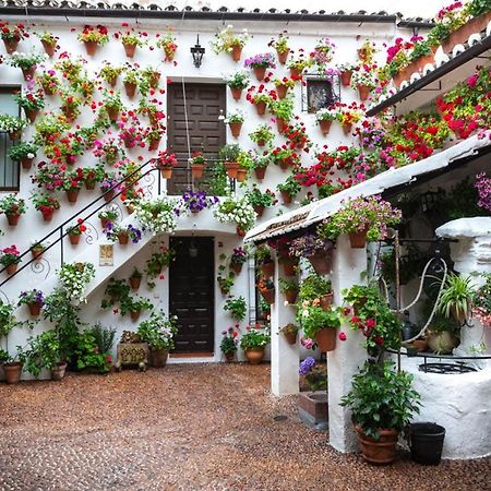 Puerta A La Mezquita Apartment Kordoba Bagian luar foto