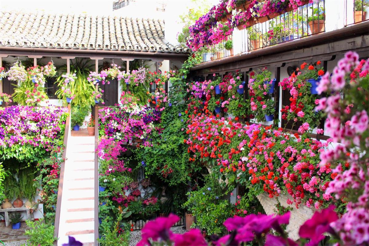 Puerta A La Mezquita Apartment Kordoba Bagian luar foto